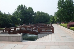 河南木桥5